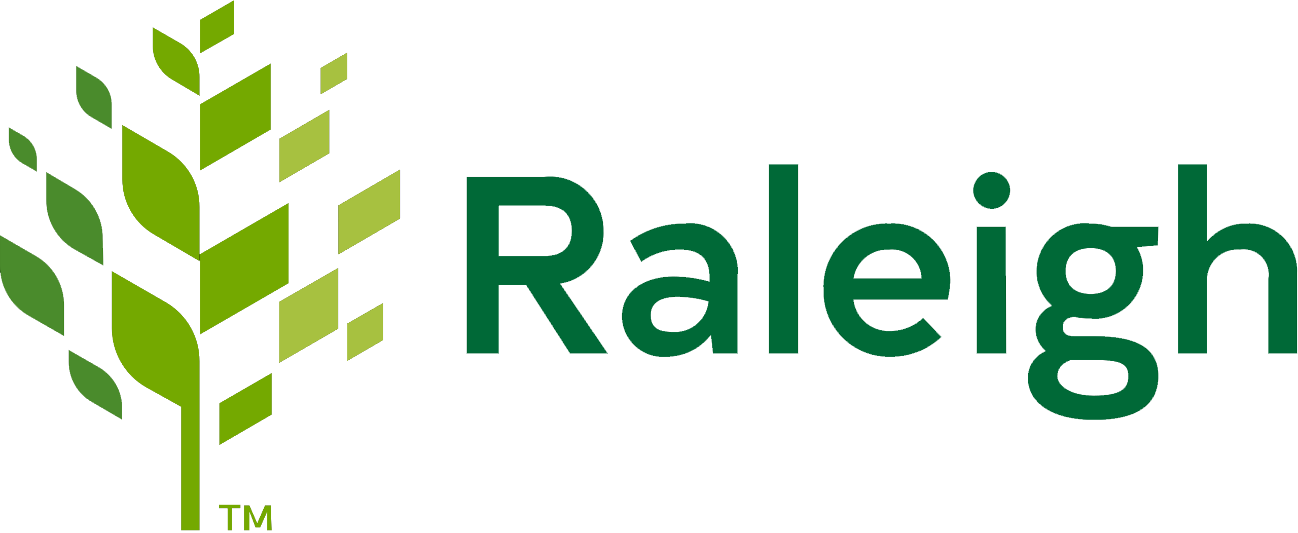 Raleigh North Carolina logo